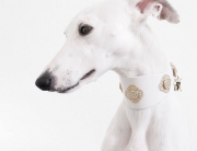 FILIGRANA CRYYSTAL Luxury Dog Collar